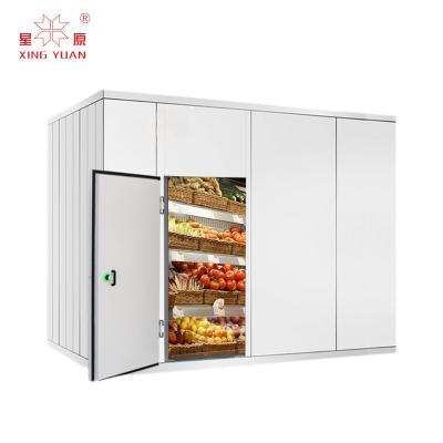 China Modular Cold Room Meat and Potato Container Kitchen Kit Chicken Refrigerator Cold Storage Fruit Jelly Fruit Cases for sale