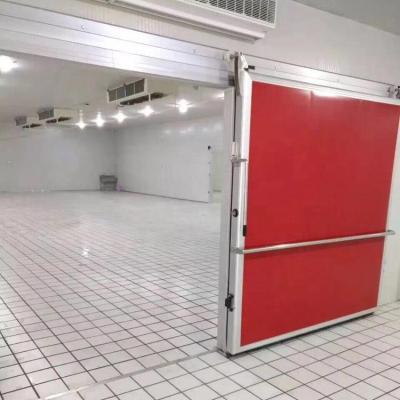 China Electricity Cold Storage Room Manual Sliding Door With Aluminum Single Track for sale