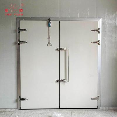 China Container drive in cooler double sliding door for cold room//high traffic sliding cooler doors for cold rooms for sale