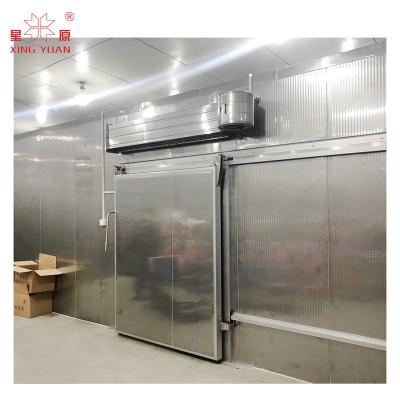 China Container cold storage room with sliding glass door //sliding freezer door for automatic cold room for sale