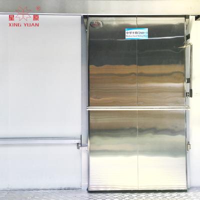 China Container cold storage room hinged door, swing door//cold room hinge door for cold room for sale