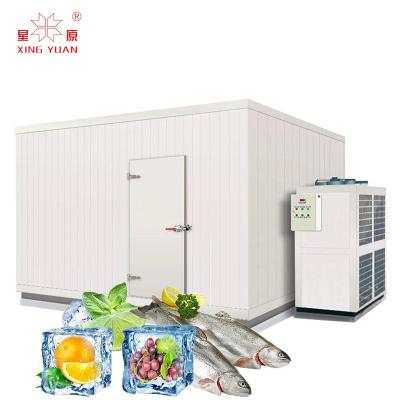 China Custom Medical Container Cold Room For Vaccines Insulation Building Cool Room Frozen Cold Storage Room for sale