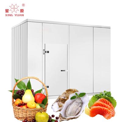 China Large Container Fruit and Vegetable Ripen Banana Cold Room Storage 40ft Freezer Equipment Container for sale