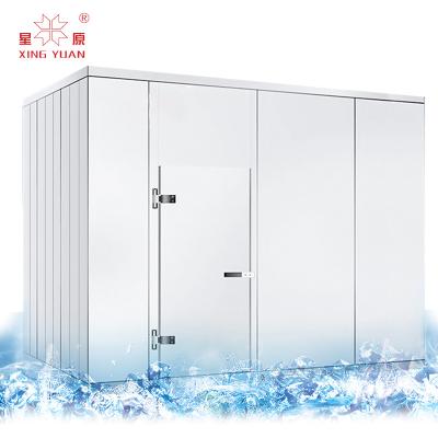 China Container 20 Fit 30 CBM Small Cold Room For Freezing Vegetable And Fruit Supplier Cold Storage Price for sale