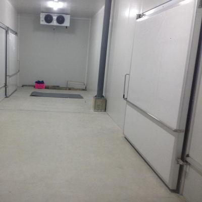 China Hotels Walk In Freezer Sliding Door / Cold Storage Room Sliding Hinged Door for sale