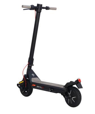 China Hot China Fasion Style 36V 10Ah 500W Unisex Brushless Foldable Electric Scooter For Adult for sale