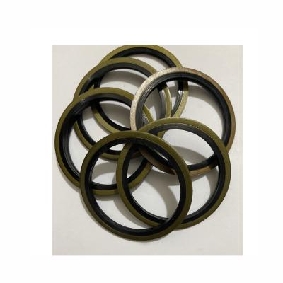 China NBR FKM NQK TC Gasket 24*24cm for sale