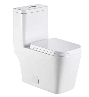 China North American Popular White Ceramic Sanitary Ware Bathroom Use Double-Flow Style One-Piece Toilet for sale