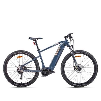 China Aluminum alloy new EAGGO 3.3 EMTB 29 inch electric mountain bike with 10 speeds motor multiple riding modes high speed ebike for sale