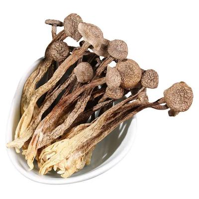 China Healthy retail sale of dried mushrooms made in China, long shelf life, in line with the daily food velvet mushroom for sale