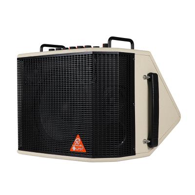 China None None 120 Watt High Power Audio Model Maple Leaf Gray Electric Acoustic Guitar AmplifierSound for sale