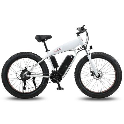 China 750W electric bike fat tyres mountain bike fat tire electric bike china for sale