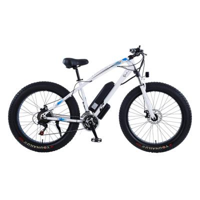 China 48V 10AH Lithium battery ce electric bike snow bike electric fat for sale