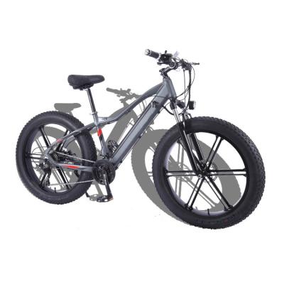 China 2021 hot electric bike 48V 750W 27 speed 4.0 fat tire aluminum alloy frame electric bicycle fat 48V for sale