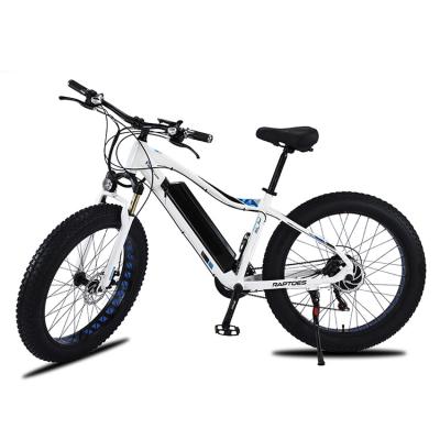 China Powerful fastest electric Bicycles with CE electric bike 750w electric fat bike 48v for adults à venda