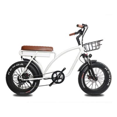 China 20 inch fat tire electric mountain bike adult 2 seat electric bike à venda