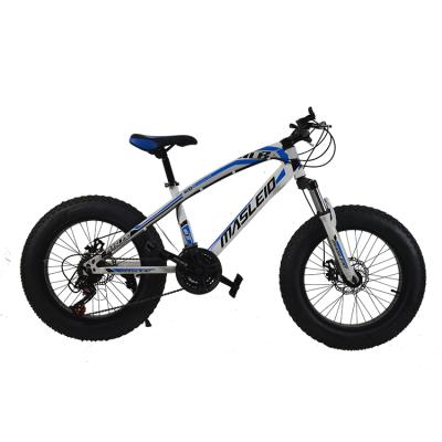 China New design 2021 snow bike 20 inch 7 speed snow mobile bike for sale