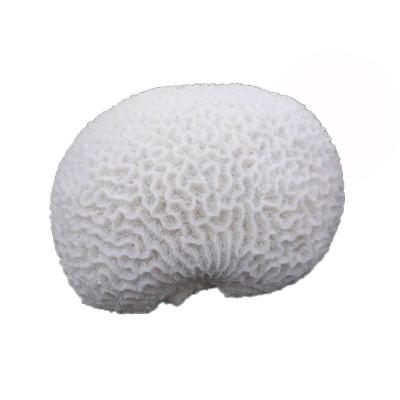 China Suitable for each country resin sea corals for decoration for sale