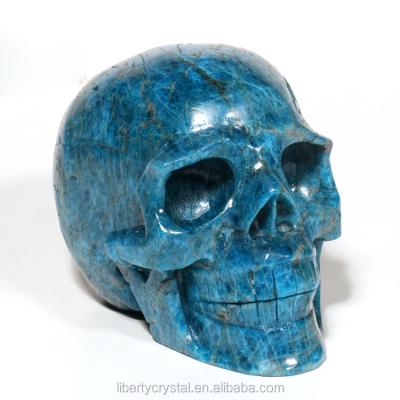 China China Wholesale Blue Apatite Skulls Stone Carved Crystal Skulls Healing Skulls for sale