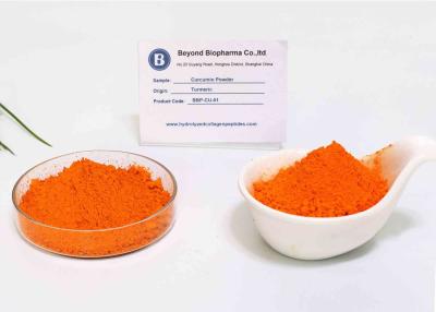 China Food Grade 95% Curcumin Powder for sale