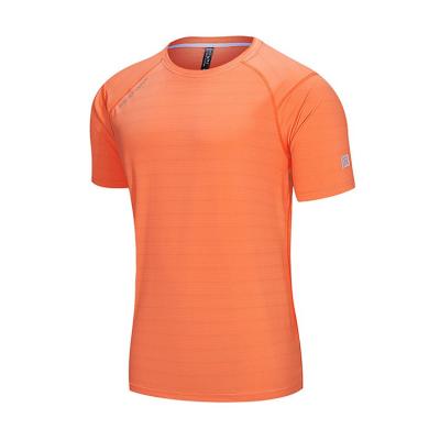 China Custom Outdoor Blank T-shirt Breathable Quick Dry Fit Men Anti-Shrink Around Neck Polyester Sports T Shirt for sale