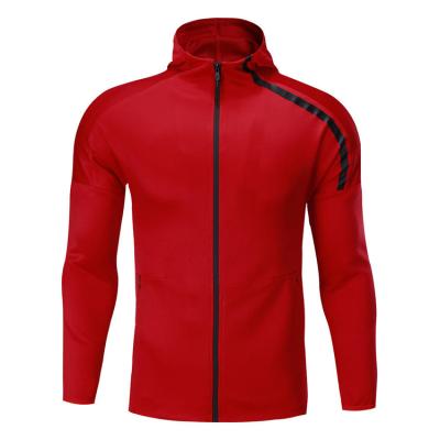 China Custom Logo Wholesale Men's Hoodie Winter Sports Coat Running Gym Breathable Training Wearing Sweat Suit Casual Tracksuit for sale