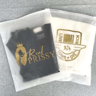 China BIODEGRADABLE Zipper Lock Bags For Bikini Swimwear Custom Mini Frosted Zipper Plastic Packaging Bag for sale