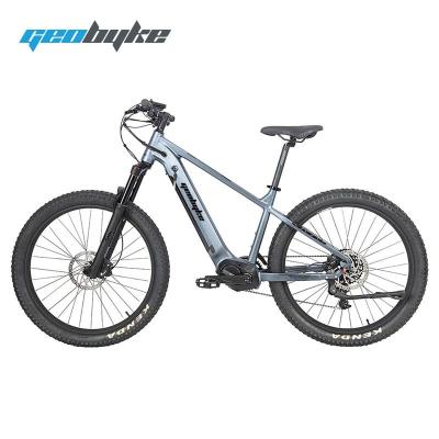 China 2022 new Eu aluminum alloy ebike warehouse price emtb 9 speed cheap ebike off road electric bike for sale