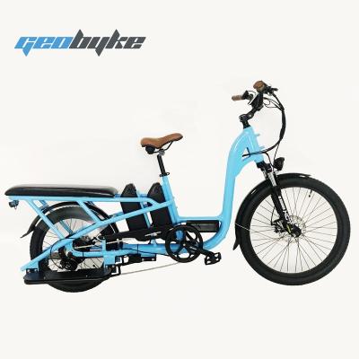 China Aluminum Alloy Electric Delivery Bike for Food Cargo Electric Bike for Pizza Dual Battery 48V 250W/500W/750W for sale