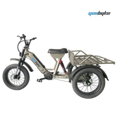 China Electric Cargo Tricycle 48V 250W/500W Tricycle 3wheel Electric Bike with Rear Suspension for Adult for sale