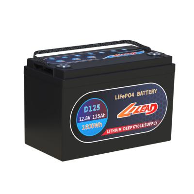 China van de de Cyclusbatterij 1600Wh van 12.8V 125Ah Lifepo4 de Diepe Batterij van het het Zonnepaneellithium Te koop