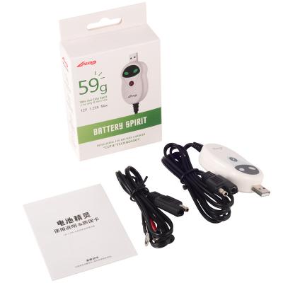 China cargador de batería de 300mA 12V para la aprobación de plomo de la FCC de la batería de litio en venta