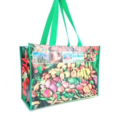 Cina Custom Logo Handled Eco - Friendly Custom Made Handled Laminated PP Non Woven Customer Bag in vendita