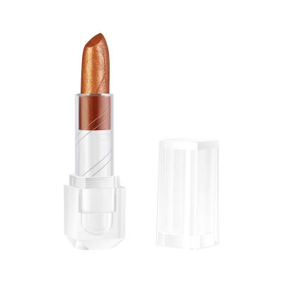 China High Quality Waterproof Long Lasting Waterproof Lip Care Cheap Clear Lipstick 60 Color Tube for sale