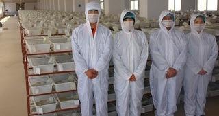 Verified China supplier - Qingdao Darenfucheng Animal Technology Co., Ltd.
