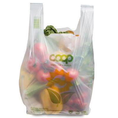 China biodegradable & EN13432 Compostable Certified Biodegradable Compostable Shopping Bag Check Bag for sale