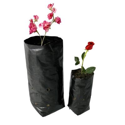 China Eco-friendly HDPE Planter Grow Bag Black Plastic Bolsas Ellesse Plastic Seedling Bags Black Garden Growing Bags for sale