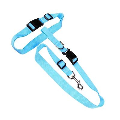 China Durable With Lock Chain Working For Swivel Carabiner Cat Harness Colored Hands Free Dog Walking Leash for sale