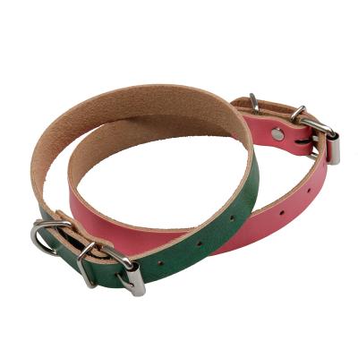 China Sustainable Products Nylon Leash Set With Attractive Design Fashion Aidi Dog Products Pet Leather Collar for sale