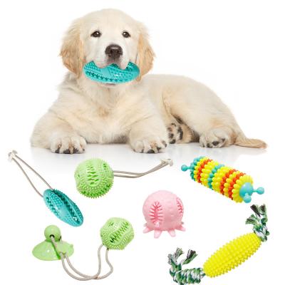 China Factory Direct Selling Pet Viable Bite Toothbrush Rubber Molar Sucker Dog Shackling Dog Chew Toy Interactive Pet Toy for sale