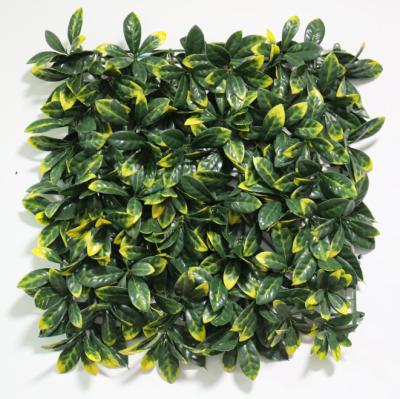 China CLASSIC GM Grass Wall Panels Artificial Plants Wedding Backdrop  20 x 20 Inch Boxwood Panels Privacy Hedge Screen for Wall Decor for sale