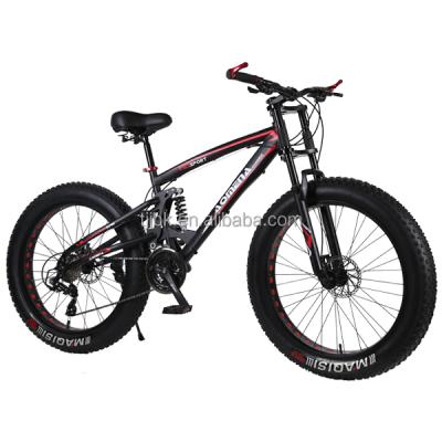 China Big Hot Selling Popular Custom Made Snow Bike for sale