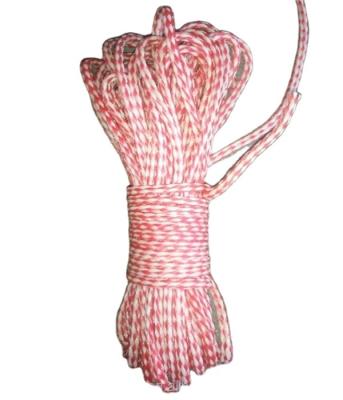 China High Strength Polypropylene Hollow Braided Rope With Eye Spliced ​​Wakeboard Rope for sale