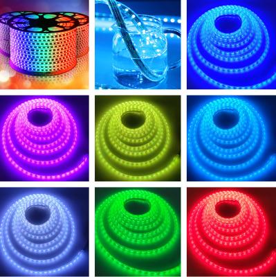 China SMD5050 Flexible RGB LED Strip Lights Silica Gel Colorful DC24V 60 Leds Waterproof IP68 for sale