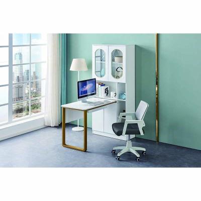 China With Shelf Hot Sale Practical Modern Office Desk For PC Office Furniture Desk for sale