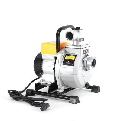 China Gardening quality assured professional standard automatic electric water pump for sale for sale