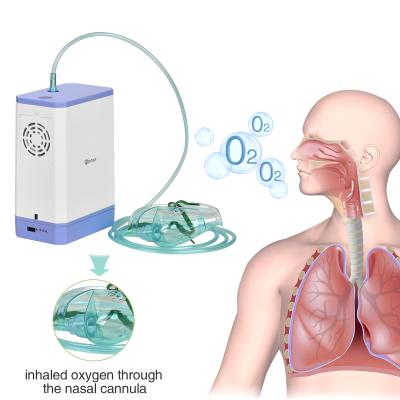 China Home Rehabilitation Center Hospital CE Approve Portable Medical Oxygen Generator 3L Size 29% Purity Oxygen-Concentrator Generator for sale