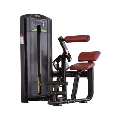 China Universal Gym Equipment Back Extension for Indoor Fitness Sport Item, Back Extension Machine for sale