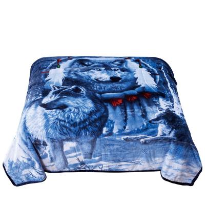 China Fire Retardant Hot Selling 100% Polyester Flannel Flannel Hot Selling Reversible Blanket For Winter for sale