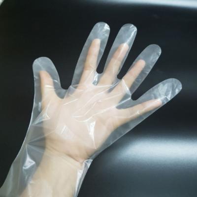 China 100% Biodegradable Compostable Biodegradable Disposable Plastic Gloves for Food Service for sale